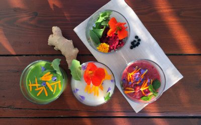 Warum man nicht frühstücken muss wie ein Kaiser