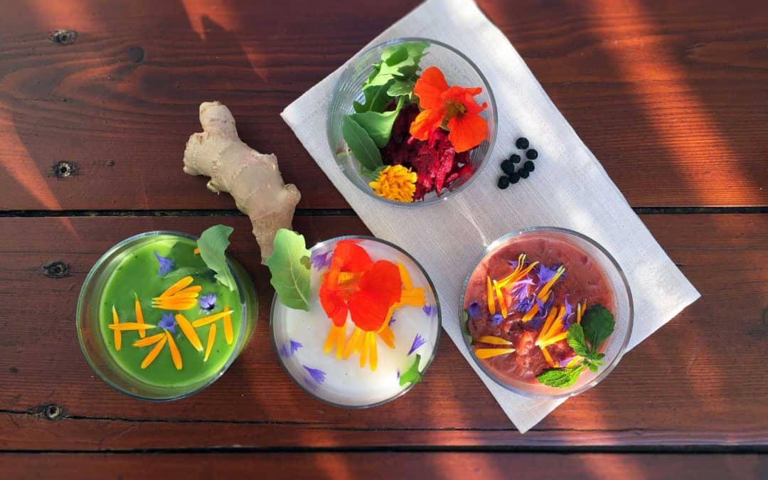 reissuppe natur kräuter