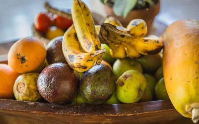 Easy Fasten für den Alltag