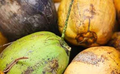 Die Stärken (und Schwächen) von Kokoswasser