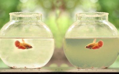 Die Kraft der Prävention